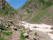 Pizzo dei Tre Signori (2554 m) dalla Val d’Inferno fiorita-24lu24 - fotogallery